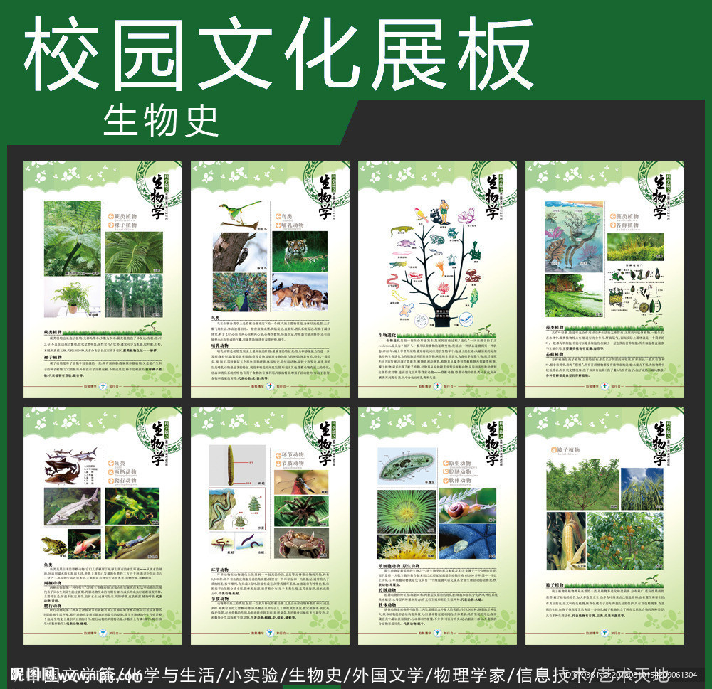 校园文化展板 生物史