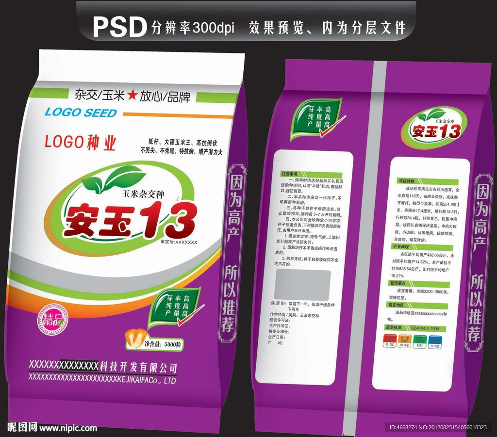 安玉13
