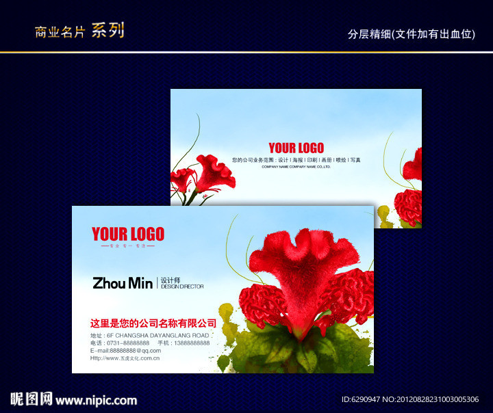 鸡冠花名片 花艺名片 花店名