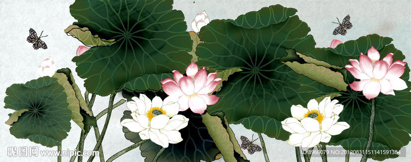 国画 荷花