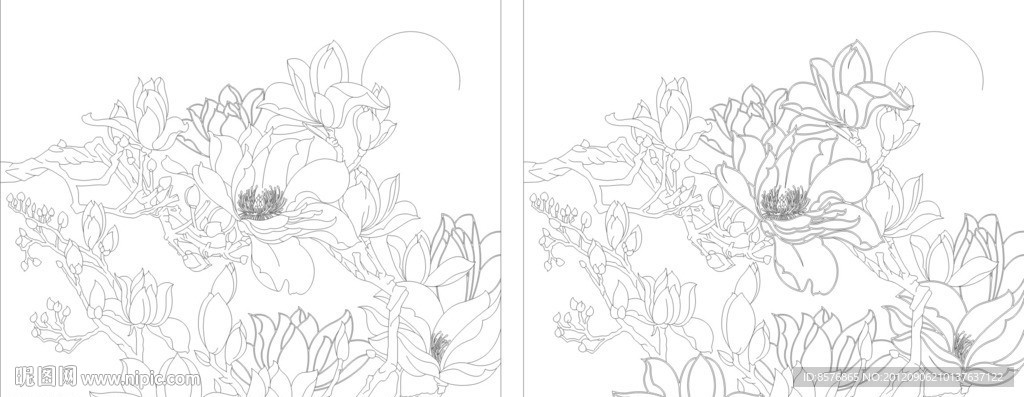 粉玉兰花