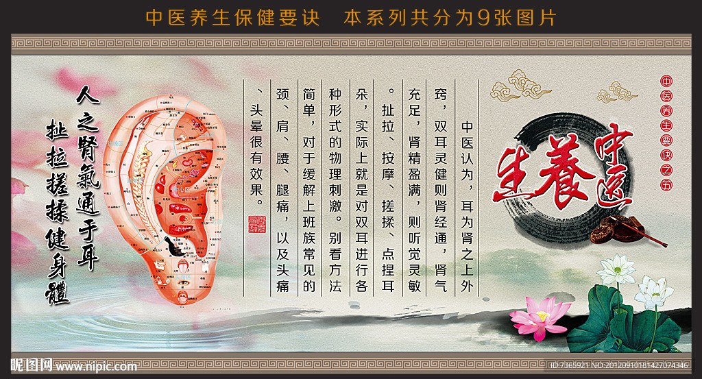 中医养生图片