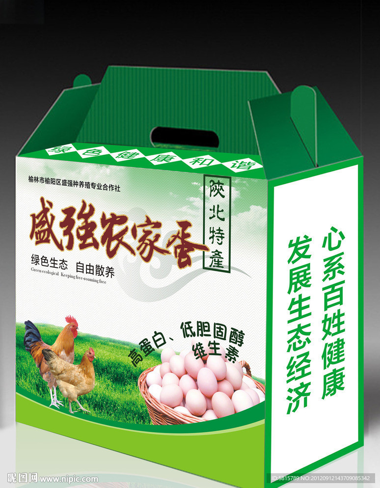 土鸡蛋包装 （平面图）