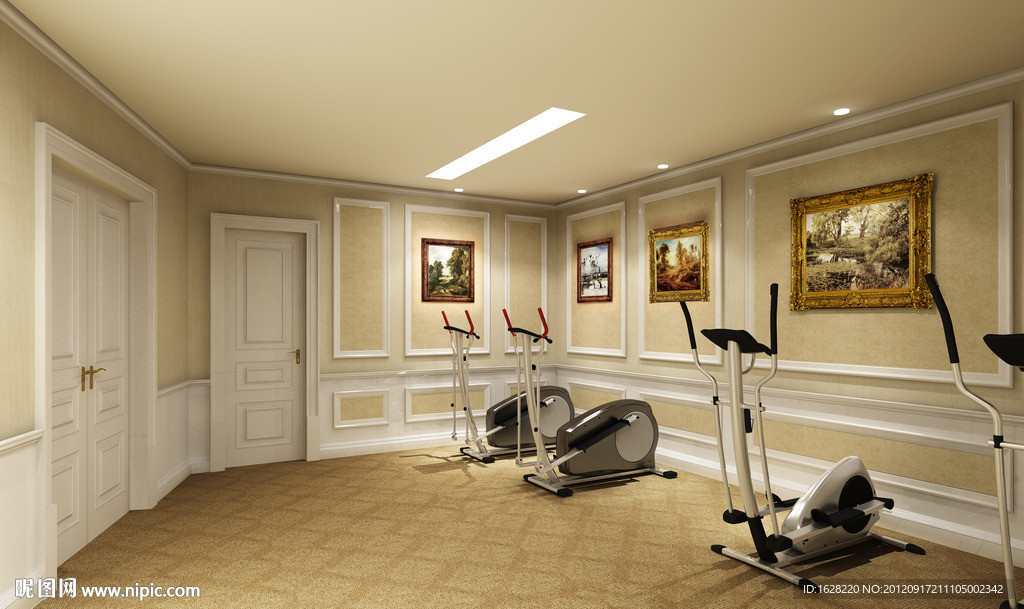 室内设计别墅健身房效果图