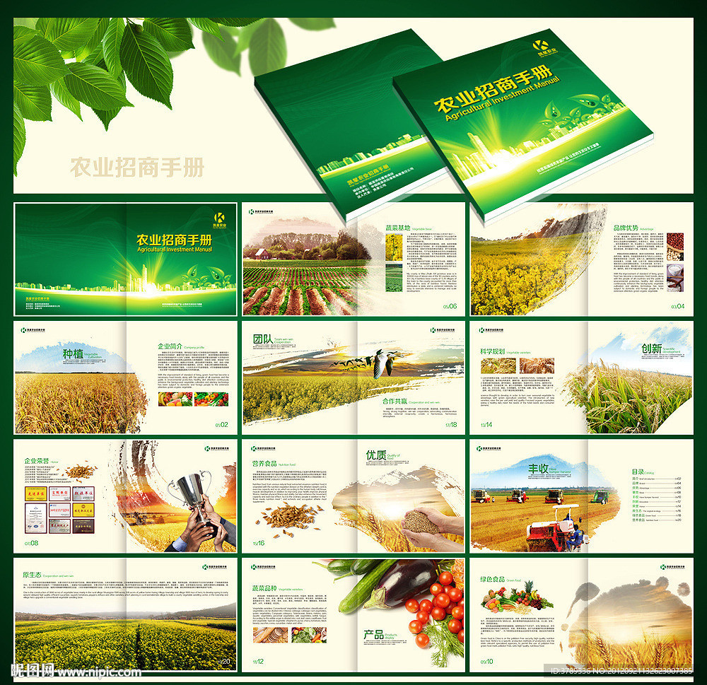 农业画册 蔬菜画册 蔬果画册