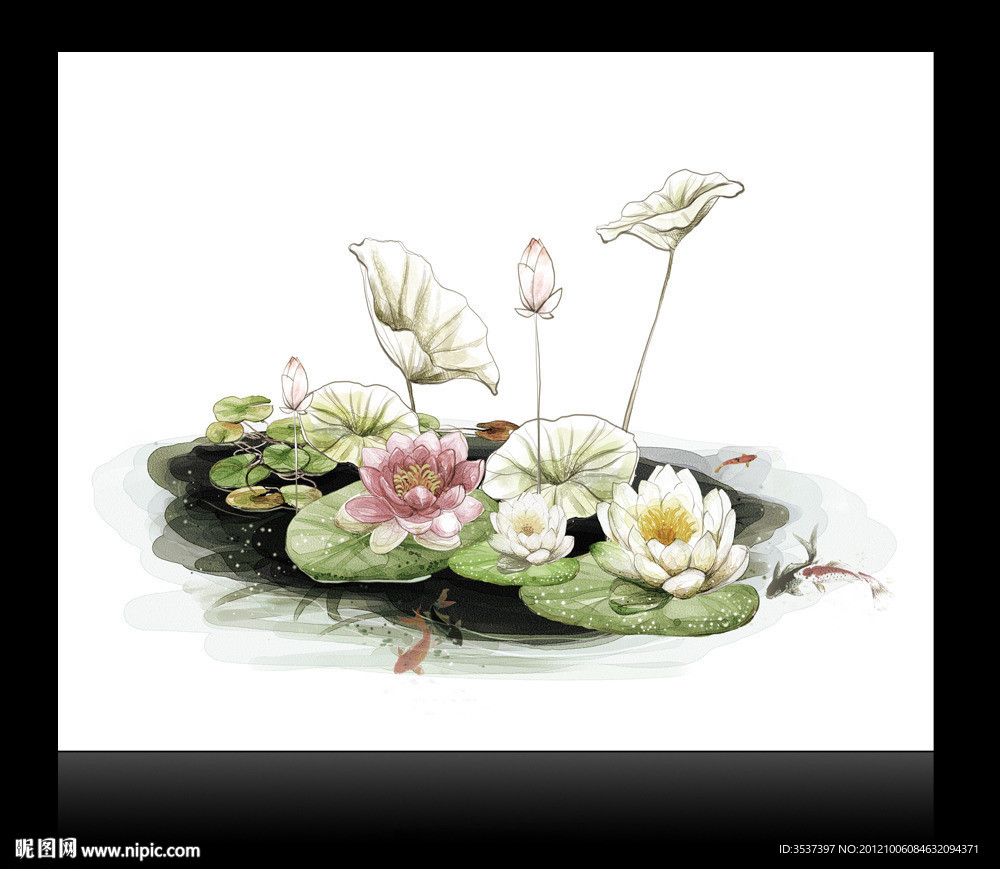 荷花 无框画 修饰画