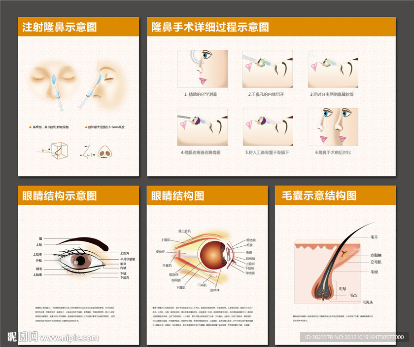 隆鼻手术过程 眼睛结构 毛囊结构
