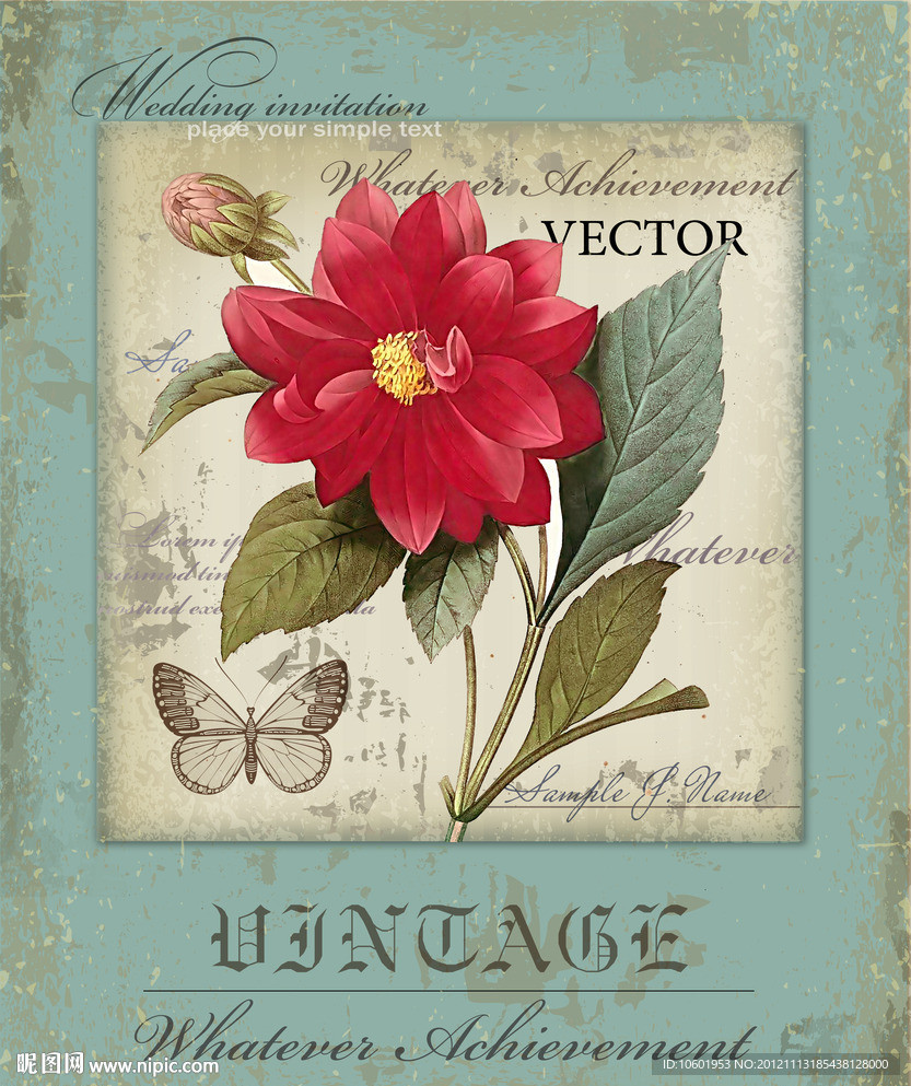 欧美油画 花卉图片