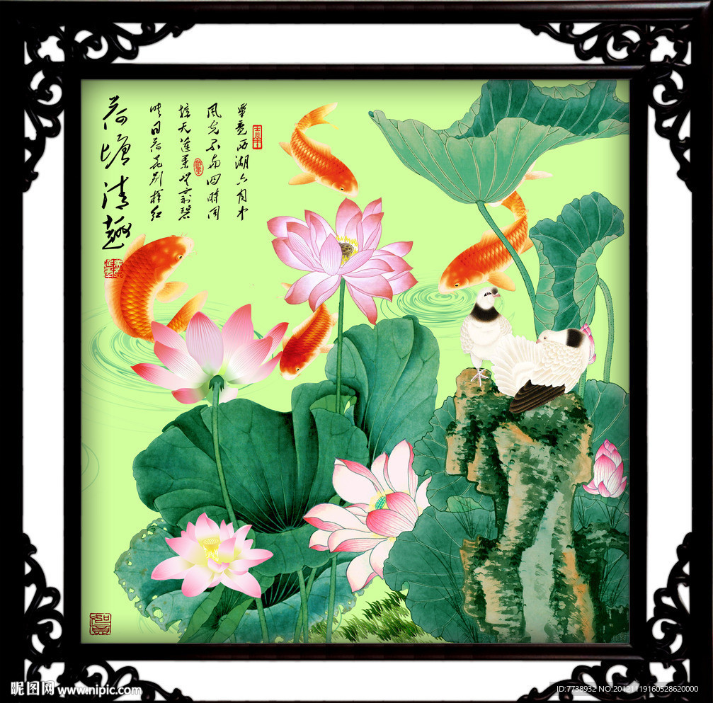 荷花 鲤鱼