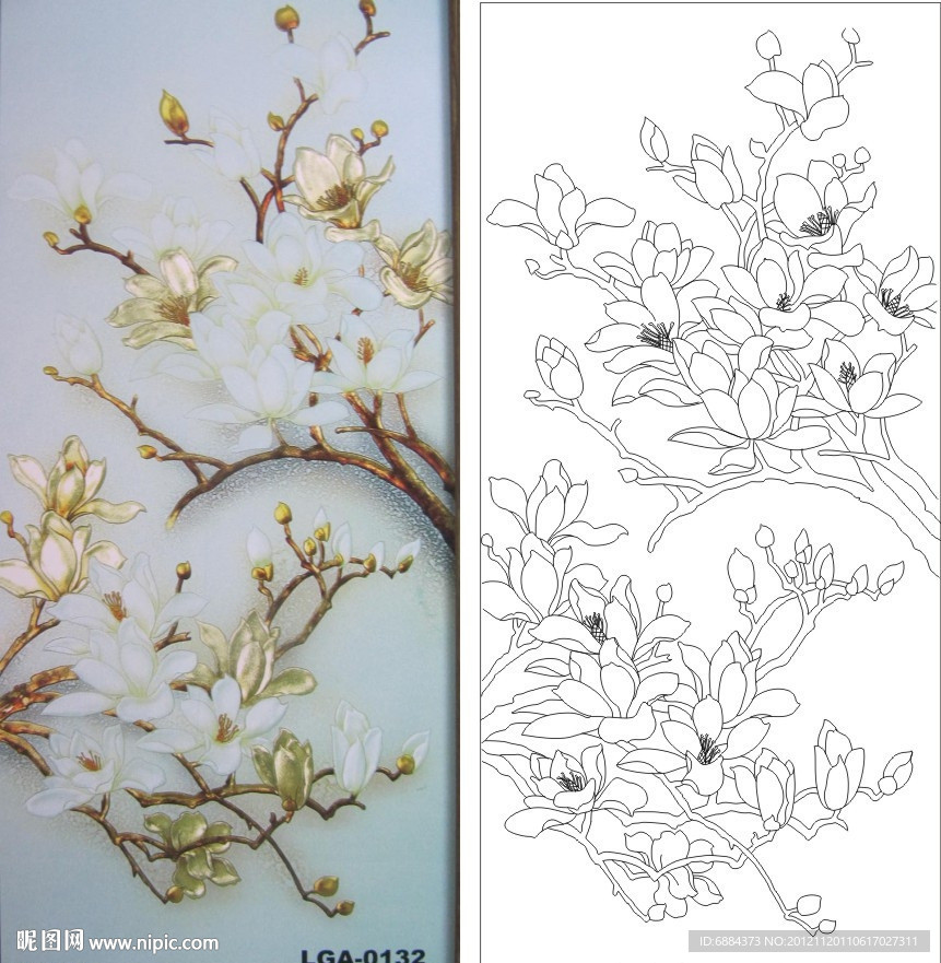 玉兰花 百合花