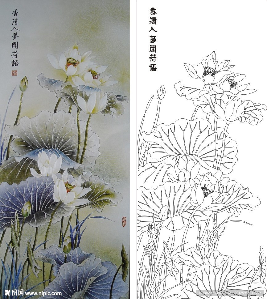 荷花 荷语