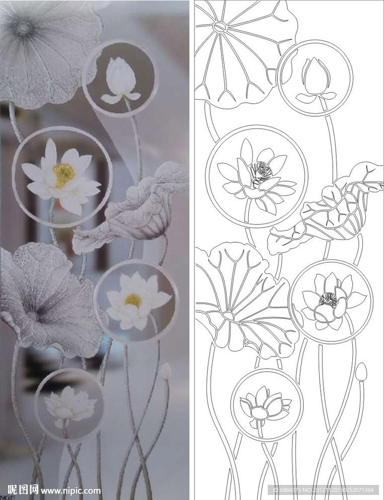 荷花