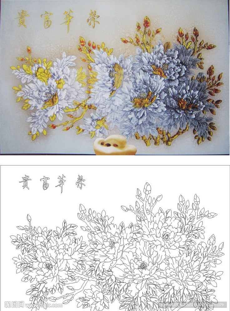 荣华富贵 牡丹花
