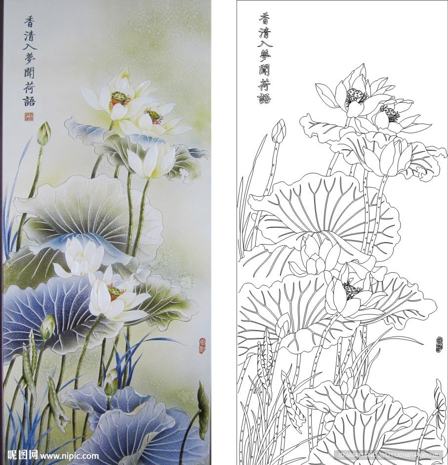 荷语 荷花 莲花
