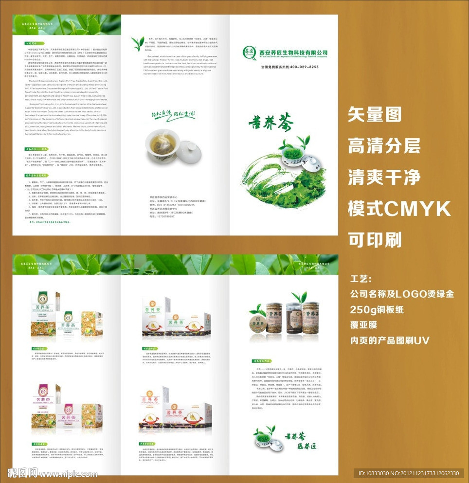 苦荞茶折页