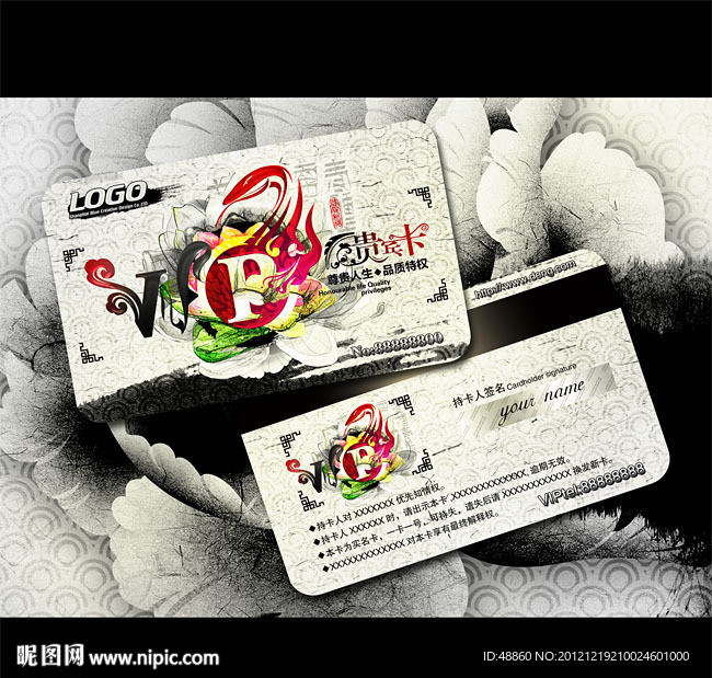 2013蛇年中国风创意VIP卡模板