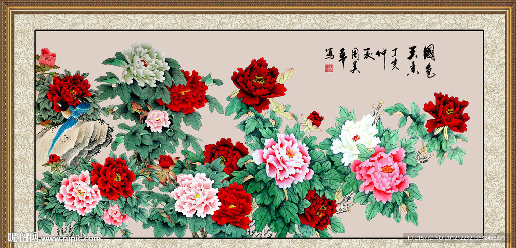 牡丹花