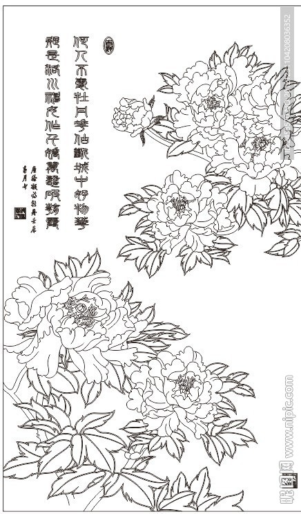 吉祥牡丹