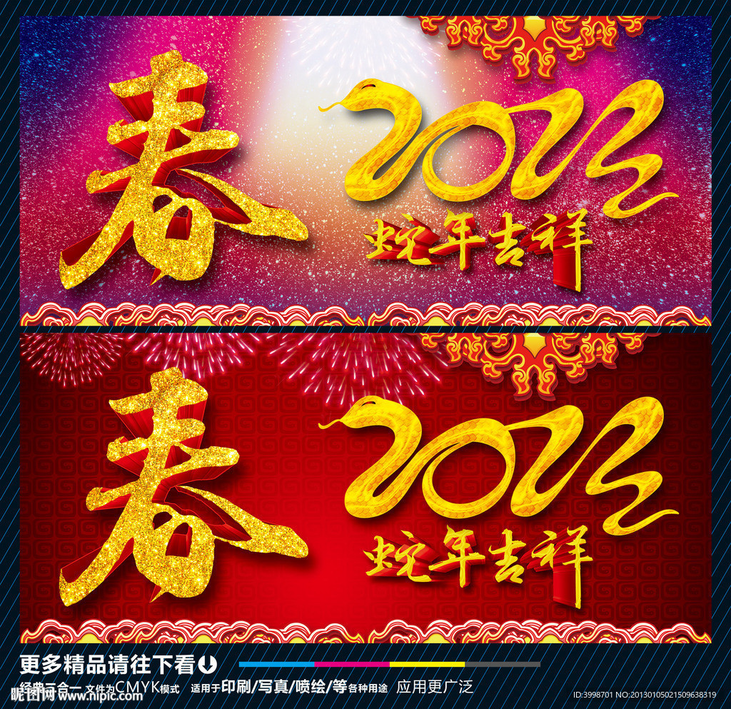 2013 蛇年