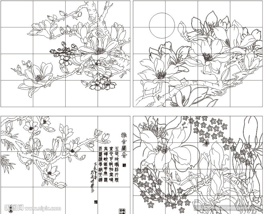 玉兰花白描稿