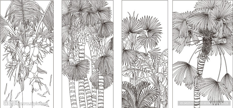 棕树白描稿