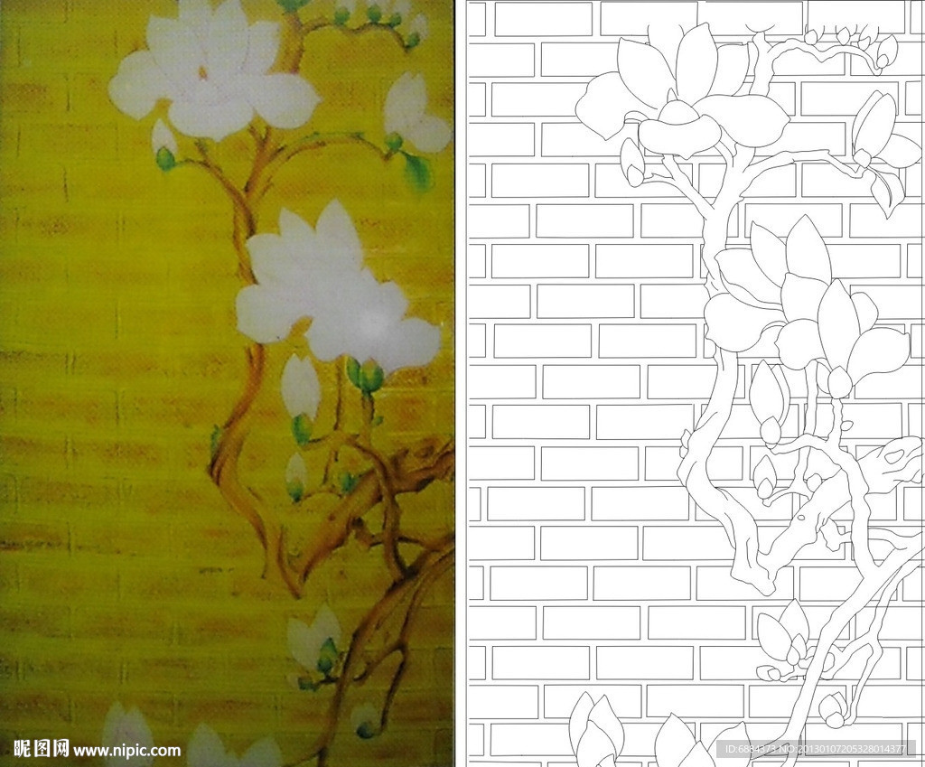 金砖玉兰 玉兰花