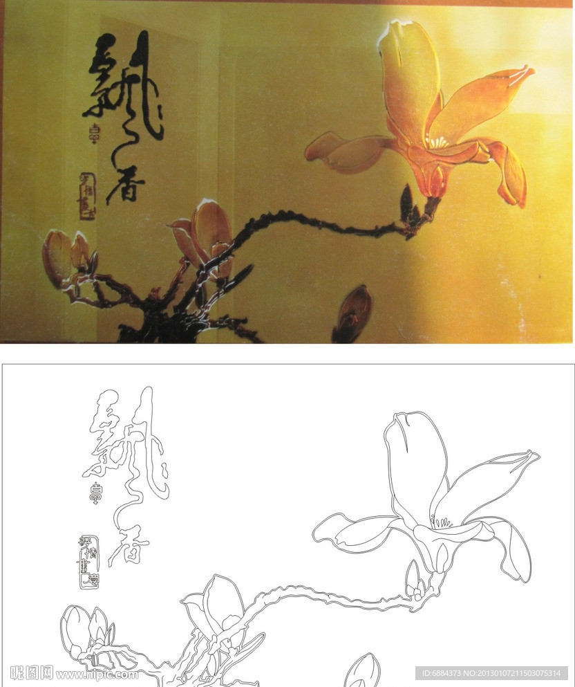 飘香 玉兰花