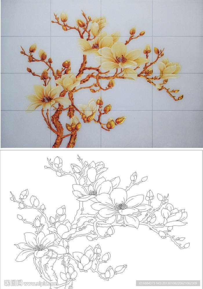 玉兰花