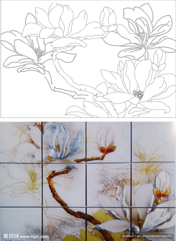玉兰花 双线玉兰