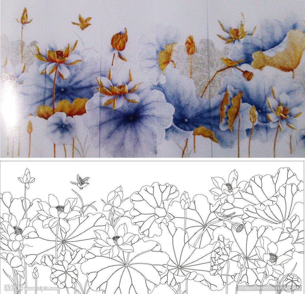 金荷花 荷花 小鸟