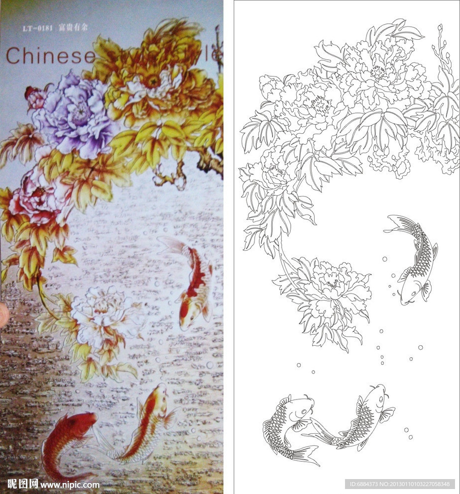 富贵有余 牡丹鱼
