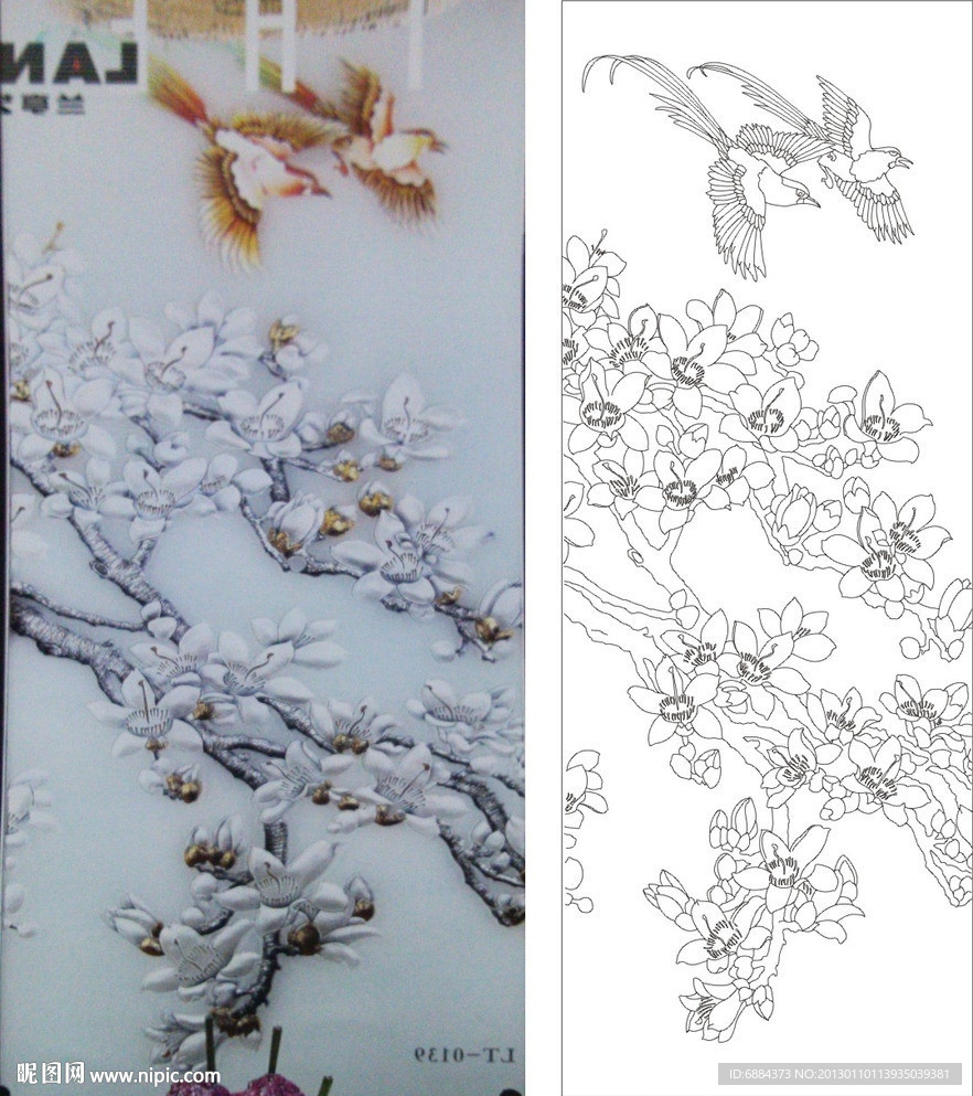 玉兰花 小鸟 树