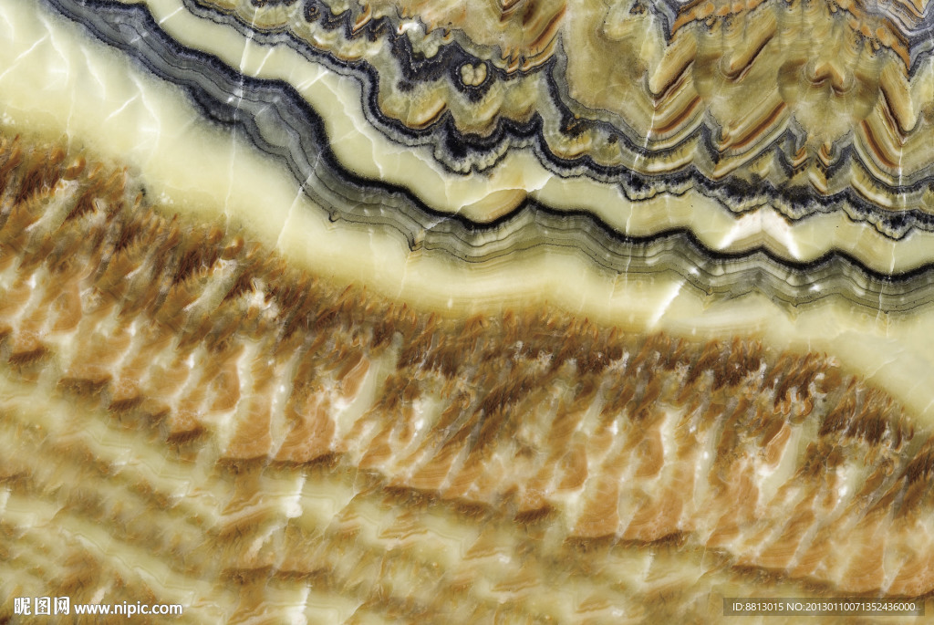 金樽玉石 大理石 玉石板材