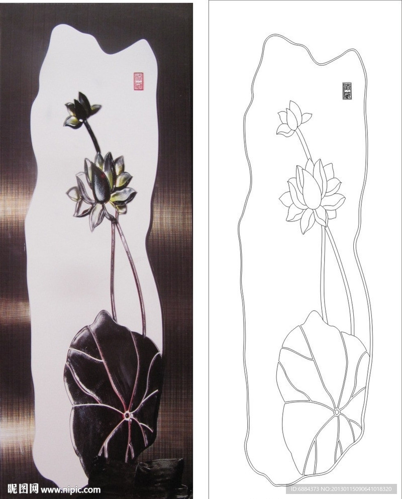 荷花 荷叶 莲花