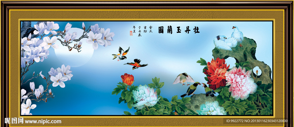 牡丹 玉兰花