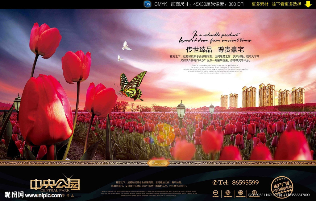 地产广告郁金香