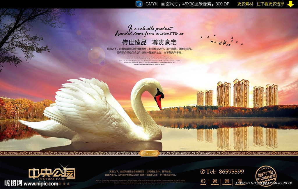 地产广告天鹅