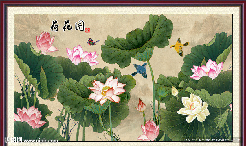 荷花
