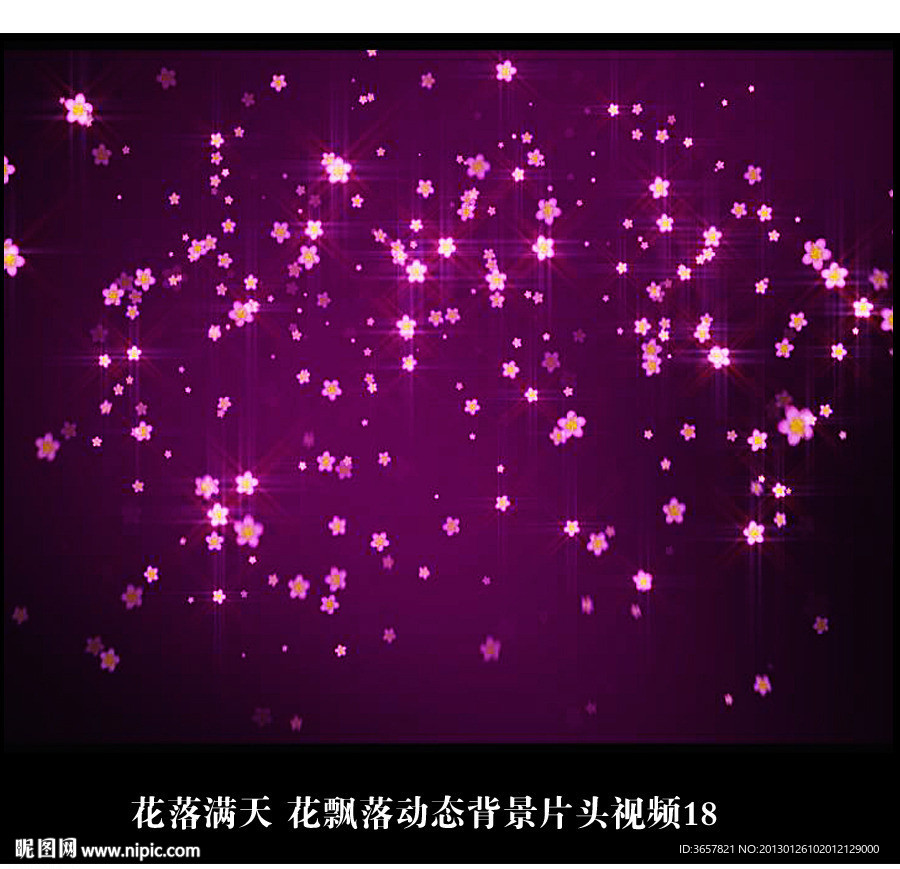 花落满地 花飘落动态背景片头视频