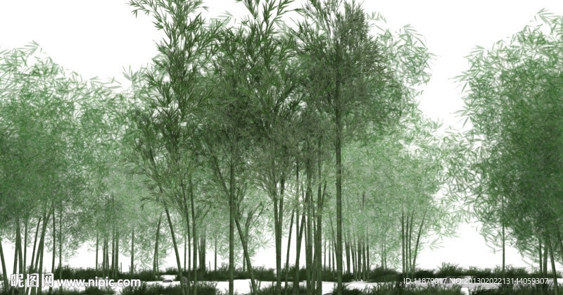 竹林（有动画）