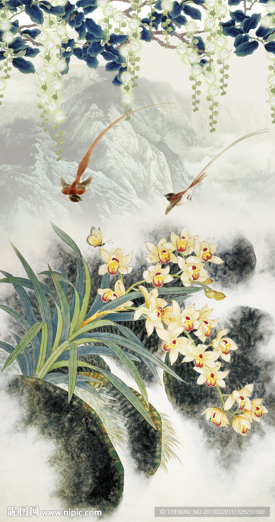 兰花