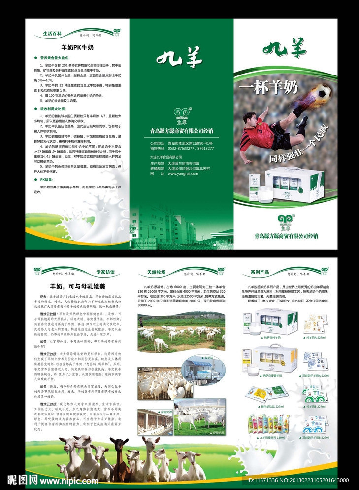 羊奶折页