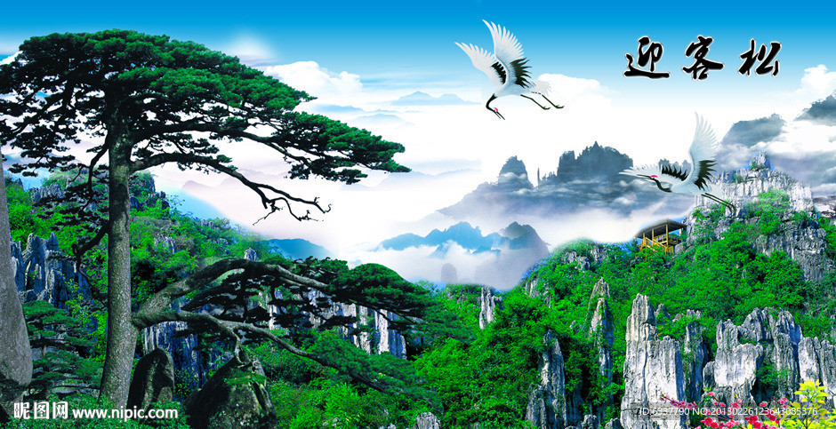 黄山迎客松
