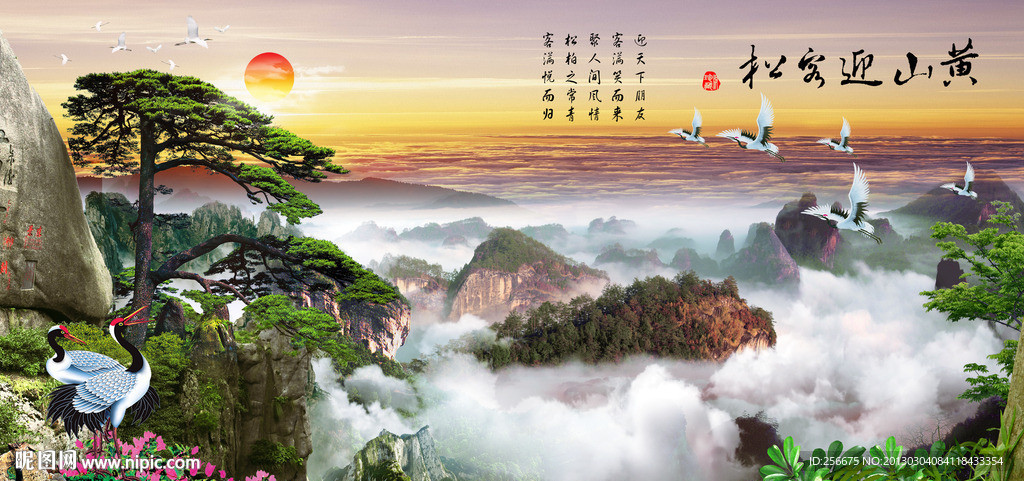 黄山迎客松
