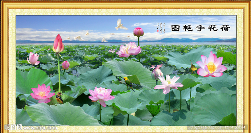 荷花