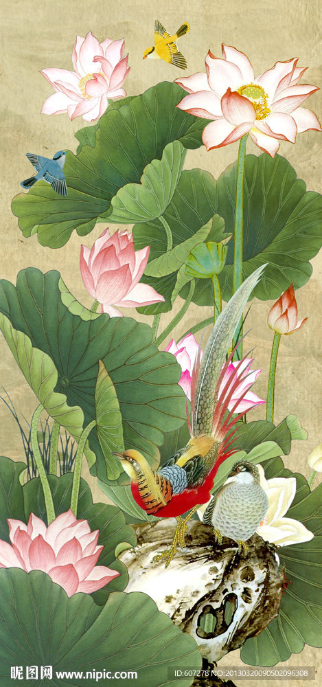 荷花