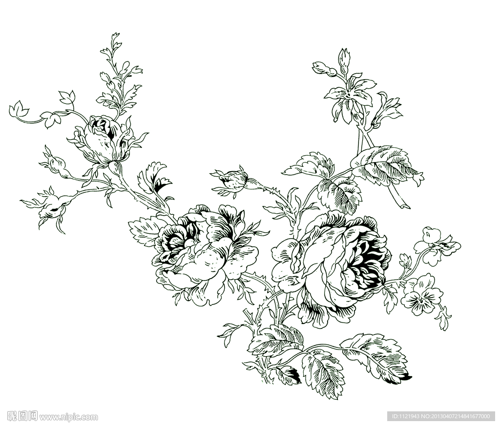 白描花