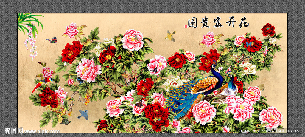 牡丹花