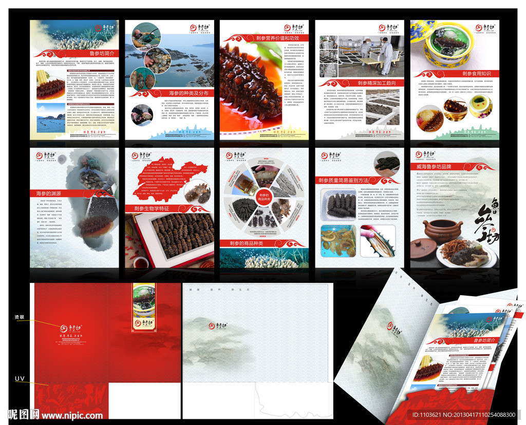 海参宣传单