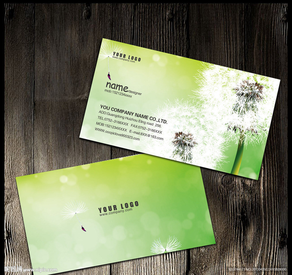 蒲公英名片
